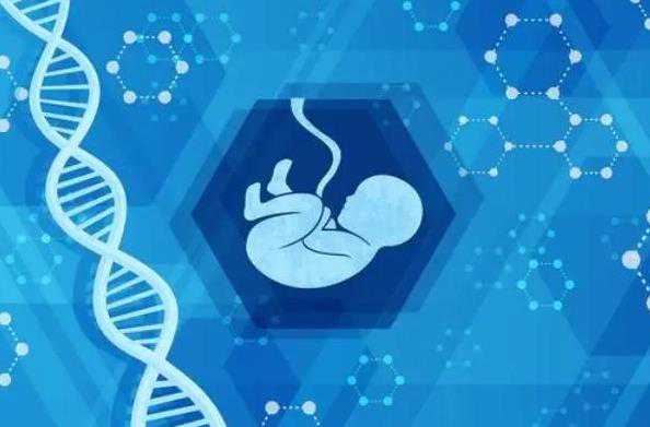 哪有愿意代孕的个人,青海供卵代怀试管生子机构公开,2023青海供卵生殖中心名单