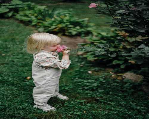 试管代孕机构靠,2026山东供卵试管代怀包成功机构名单发布-附费用解读