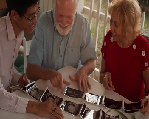 试管助孕供卵_国内怎么供卵,河南人民医院供卵机构多吗（北京合法供卵试管中