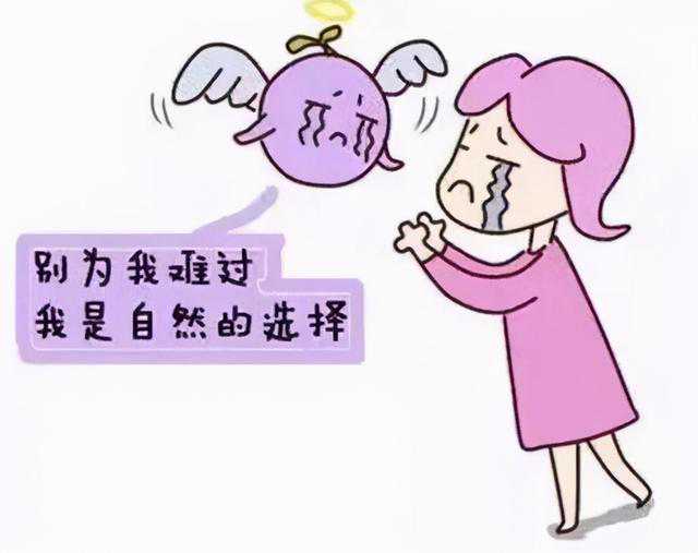 电视剧王丽云主演婆媳关系